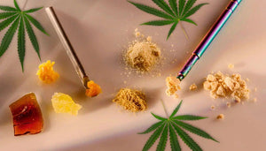 Los Concentrados de Cannabis