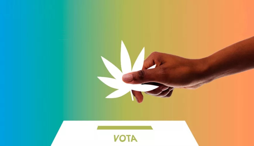 Un Nuevo Horizonte para la Regulación de la Marihuana en España