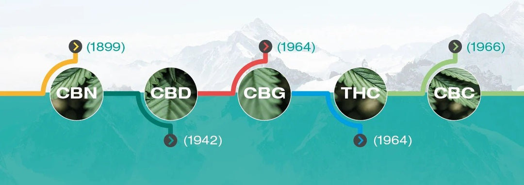 El descubrimiento de los cannabinoides - La Catalana CBD