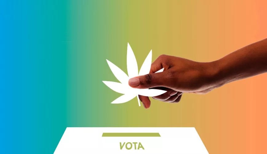 Un Nuevo Horizonte para la Regulación de la Marihuana en España - La Catalana CBD