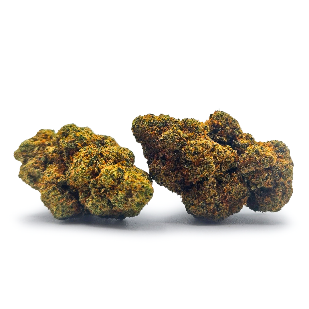 Amnesia Dream CBDX