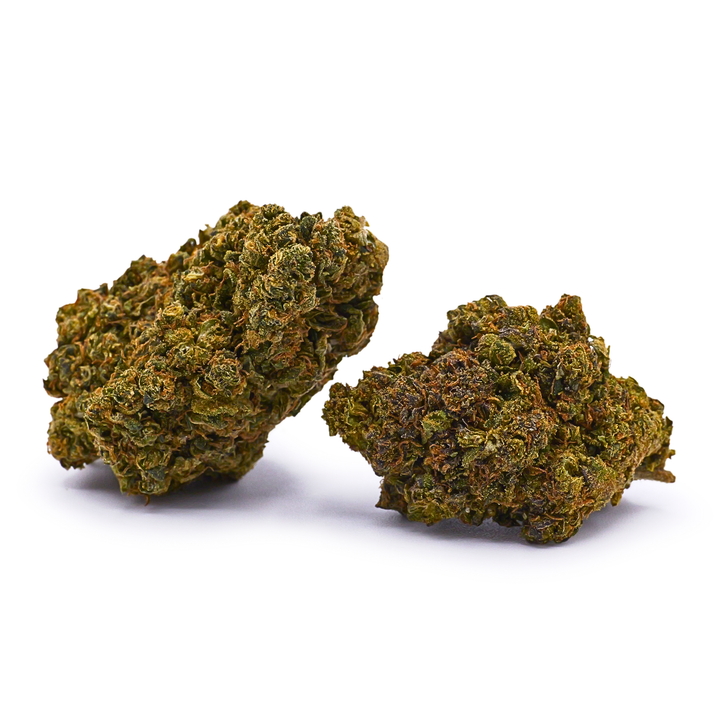 BISCOTTI OG