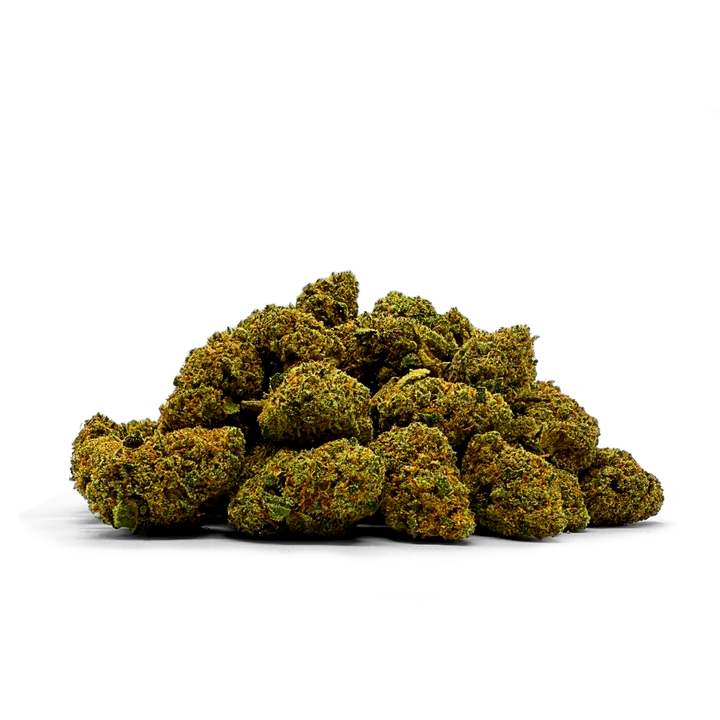 REINA CATALANA CBD SMALL