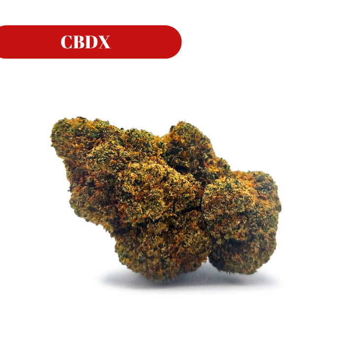 Amnesia Dream CBDX
