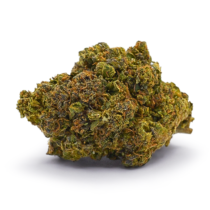 BISCOTTI OG