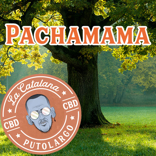 Pachamama Petit