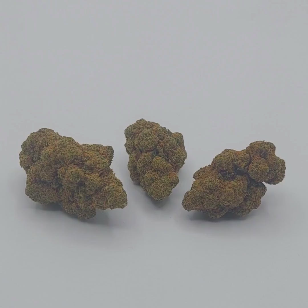 Amnesia Dream