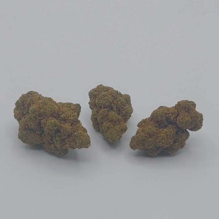 Amnesia Dream CBDX