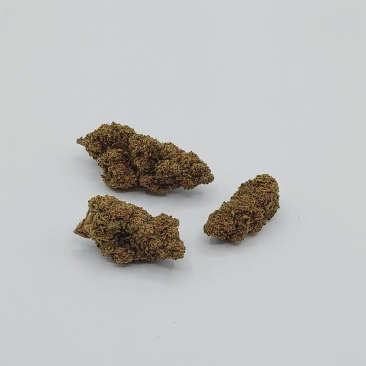 GORILLA GLUE CBD